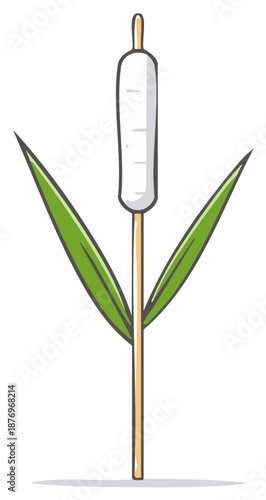 Isolated cattail plant with green leaves illustration in simple style