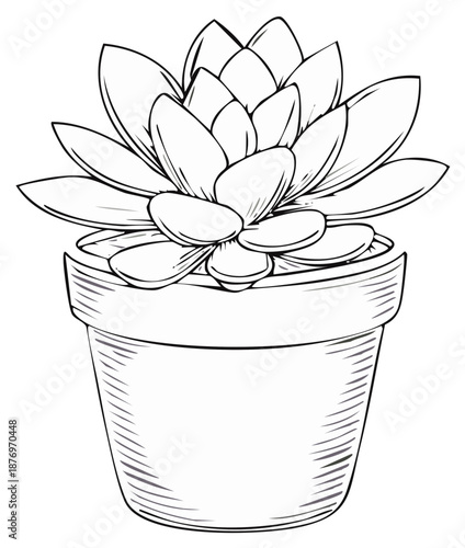 Potted succulent plant black and white line art illustration Hand drawn sketch for a coloring book page
