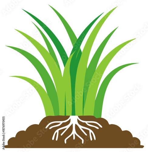 Green Grass Clump Rooted in Soil Illustration, Showing Healthy Plant System, and Natural Resources
