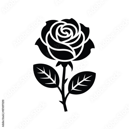 black and white rose with leaves on stem