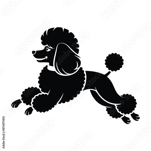 black poodle dog running with curly fur