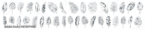 Contour outline stroke silhouette jungle leaf large collection. Abstract black palm tropical rainforest leaves. Decorative plants. Graphic foliage silhouettes and elements for design isolated on white