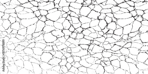 Scratched and Cracked Grunge Urban Background Texture Vector. Dust Overlay Distress Grainy Grungy Effect. Distressed Backdrop Vector Illustration. Isolated Black on White Background. EPS 10.