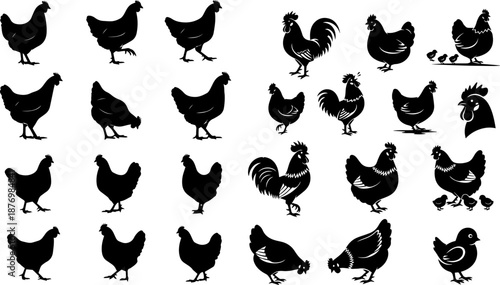 Black chicken silhouette collection set farm bird graphic vector illustration isolated simple element design rustic agriculture livestock nature organic animal poultry poultry fauna