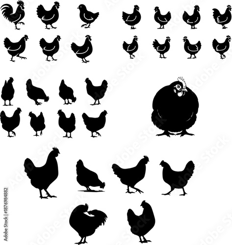 Diverse chicken silhouette set featuring roosters and hens in motion poultry farm animal vector illustration collection isolated simple graphic design elements for agriculture branding