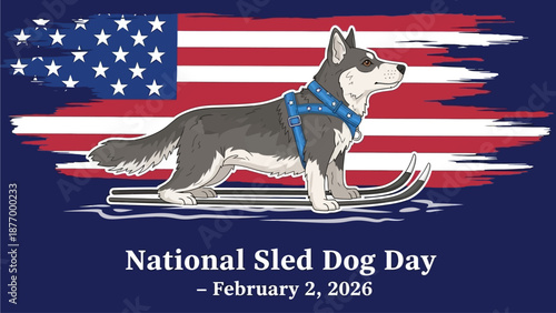 Husky dog on skis with American flag background celebrating National Sled Dog Day