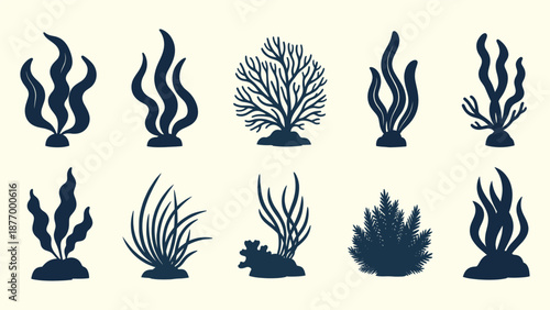 Collection of various seaweed and coral silhouettes isolated on white