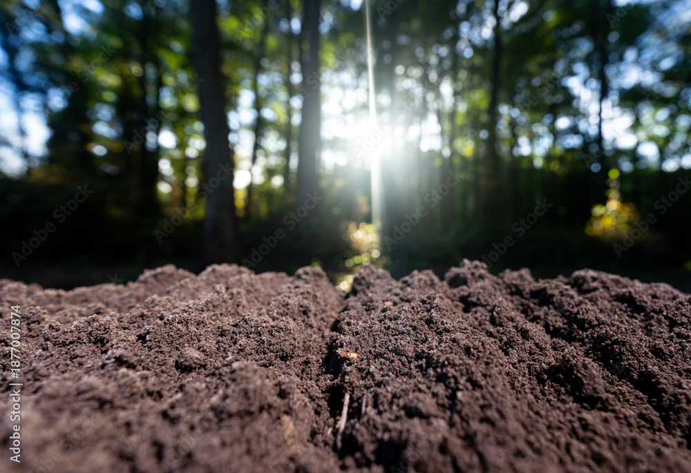 Fototapeta premium Soil and organic fertilizer concept. Farming with soil. Earth care and melioration. Cultivate land. Compost fertility. Organic fertilizer. Natural fertile soil. Growth and cultivation melioration.