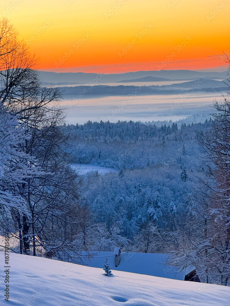 Naklejka premium Winter sunrise paints the sky in warm orange tones above a snowy forest and misty valley. Trees covered with fresh snow and layered hills in a calm landscape. Quiet beauty of a cold morning in nature.