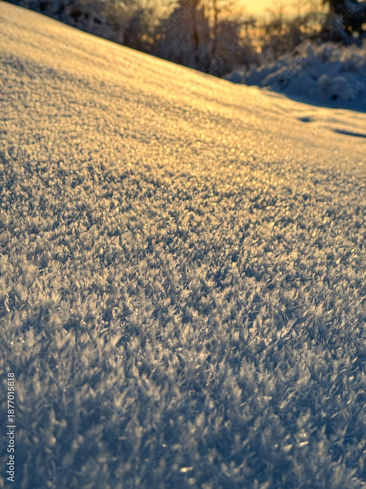 Fototapeta premium DOF, CLOSE UP: Golden sunrise light spreads across frosted snowy meadow, revealing delicate ice crystals and fine textures. Quiet beauty of cold winter mornings and stunning natural abstract patterns.