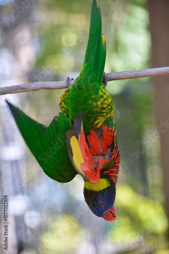 Hanging in a Burst of Color