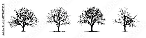 Set of bare leafless tree silhouettes in winter season vector isolated on transparent background for nature, landscape, forest, spooky design, seasonal concept, cold weather, dead wood elements