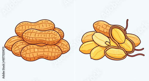 An illustration of peanuts, with some shelled and others unshelled, against a plain background.