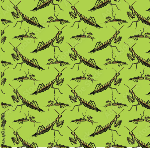 Praying mantis insect seamless repeat pattern