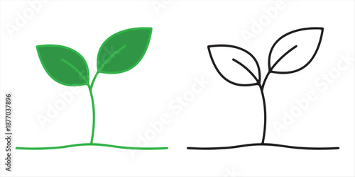 Two simple plant illustrations Vector