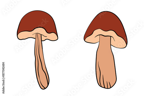 Set of mushrooms. Hand drawn vector illustration. Vegan food menu. Poisonous and edible mushroom. Autumn mushroom picking, forest plant sketches.