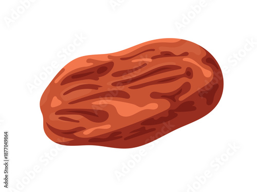 Dried date fruit. Flat vector clipart, illustration with isolated background.