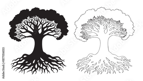 A vibrant close-up photograph of a professional photographer using a modern DSLR camera to capture a scenic landscape during the golden hour at a popular travel destination