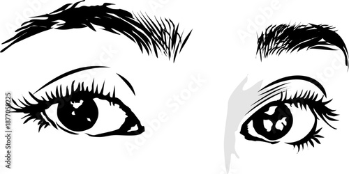 simple sketch vector of a woman's eye with black lines isolated on white