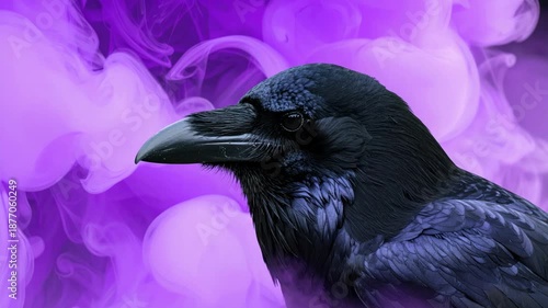 Close-up Portrait of a Black Raven Against a Vibrant Purple Smoky Background