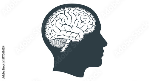 Silhouette of a human head with detailed brain illustration inside.