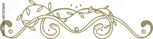 Flourish Divider Ornament Sketch