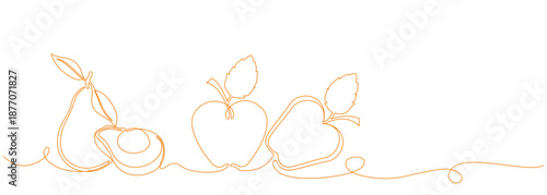 Hand drawn avocado and apple fruit. Continuous single line art vector illustration.