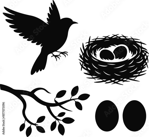 vector silhouette of a bird