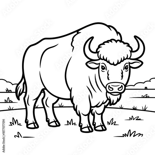 Bison illustration vector style coloring page 