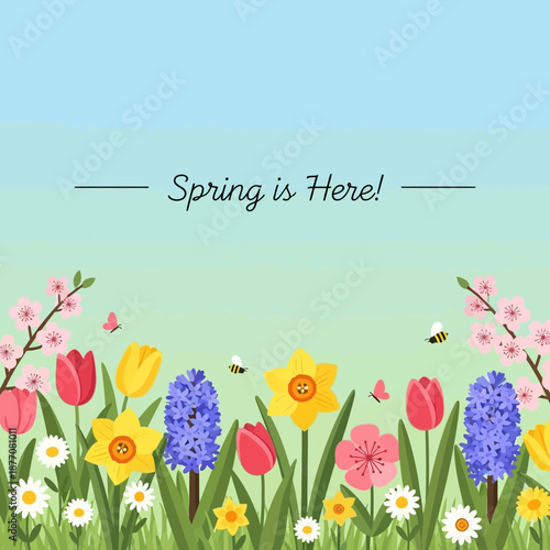 Spring flowers, grass, blue sky, bees and butterflies