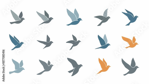 set of vector birds