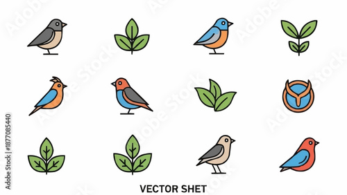 set of birds