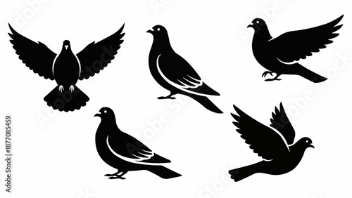 set of birds