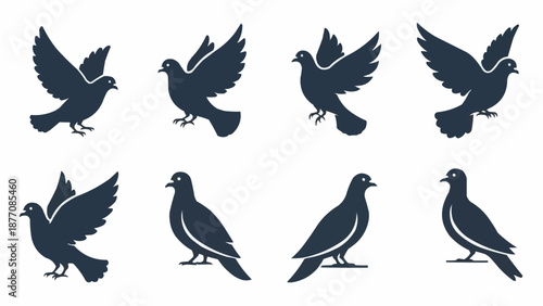set of birds