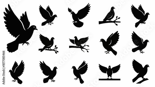 black silhouettes of birds