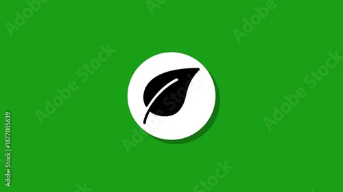 Minimalist leaf icon animation on green background representing nature and environment conservation in motion design style