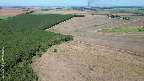 Aerial view of sugarcane plantation and forestry in rural Brazil