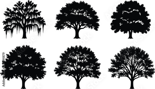 Tree silhouette collection, black nature shapes, forest and garden design elements, vector trees for landscape, logo, poster, and graphic use
