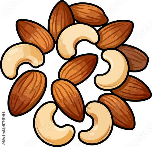 Circular Arrangement of Cartoon Almonds and Cashews Nuts Mix, Healthy Snack Food Vector Illustration