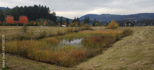 A stormwater retention pond in a suburban field during autumn in the foothills of western Washington