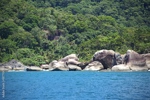 Untouched Atlantic Forest on the coast near the city of Guarujá, Brazil, on a sunny day. Waves crashing against the rocks of the ocean coast.