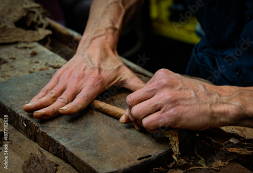 Εκτύπωση καμβά A cigar maker hand rolls premium cigars at a small US manufacturer