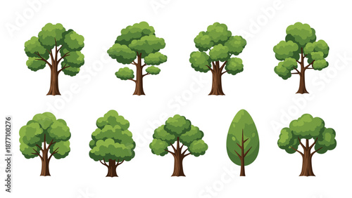 Variety of ten different deciduous and coniferous trees in various shades of green and brown for landscape design.