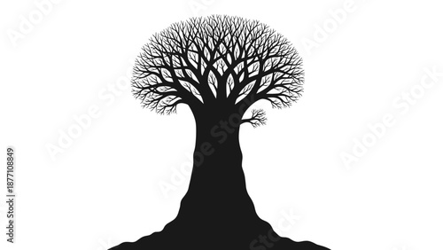 Large silhouette of a leafless baobab tree with a thick trunk standing alone against a plain white background in black and white.