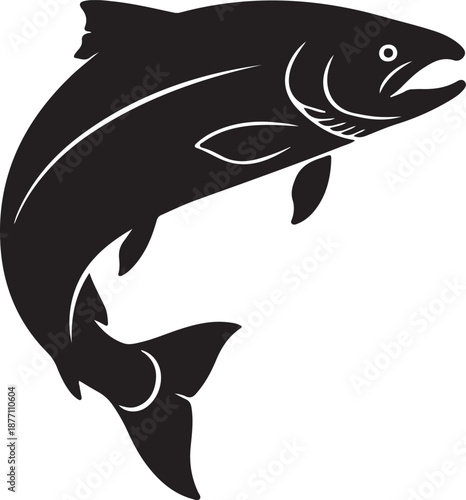 Atlantic Salmon Silhouette on White Background