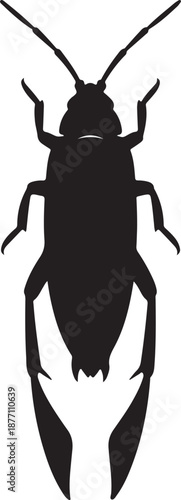 Backswimmer Insect Silhouette on White Background
