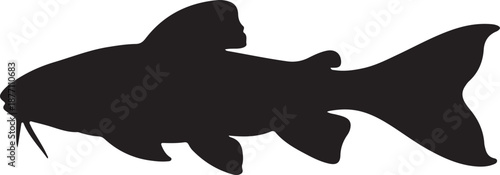 Banjo Catfish Silhouette on White Background