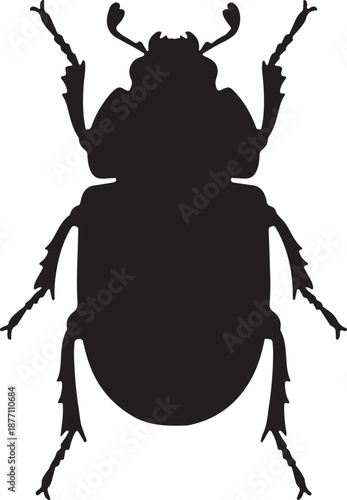 Beetle Silhouette on White Background