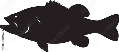 Bass Fish Silhouette on White Background