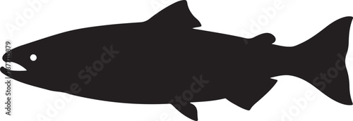 Coho Salmon Silhouette on White Background